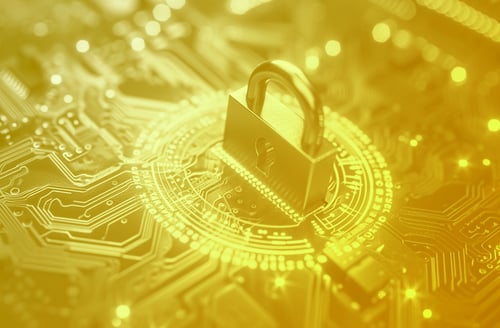 The Importance of a Secure Network Infrastructure for Business Success